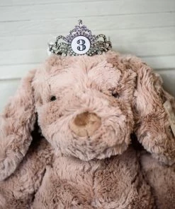 The Pink Leopard New Arrivals Mini Tiara