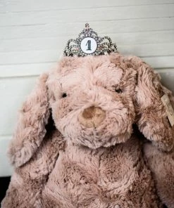 The Pink Leopard New Arrivals Mini Tiara