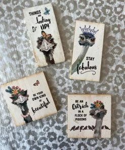 The Pink Leopard Sassy Ostrich Magnets New Arrivals