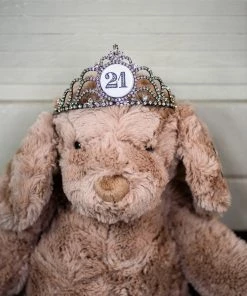 The Pink Leopard New Arrivals Princess Tiara