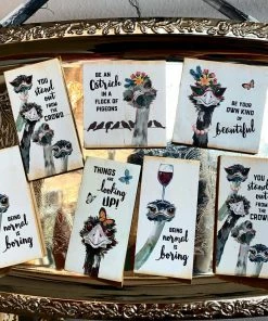 The Pink Leopard Sassy Ostrich Magnets New Arrivals